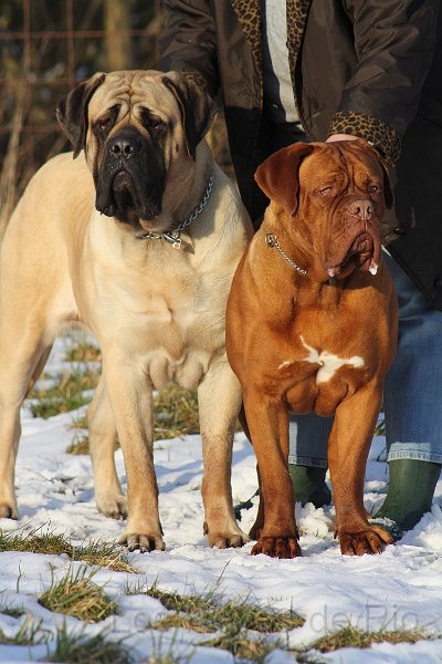 Franka, 15 months, 22. march 2013 013.jpg - Meine beste Freundin Franka und ich.